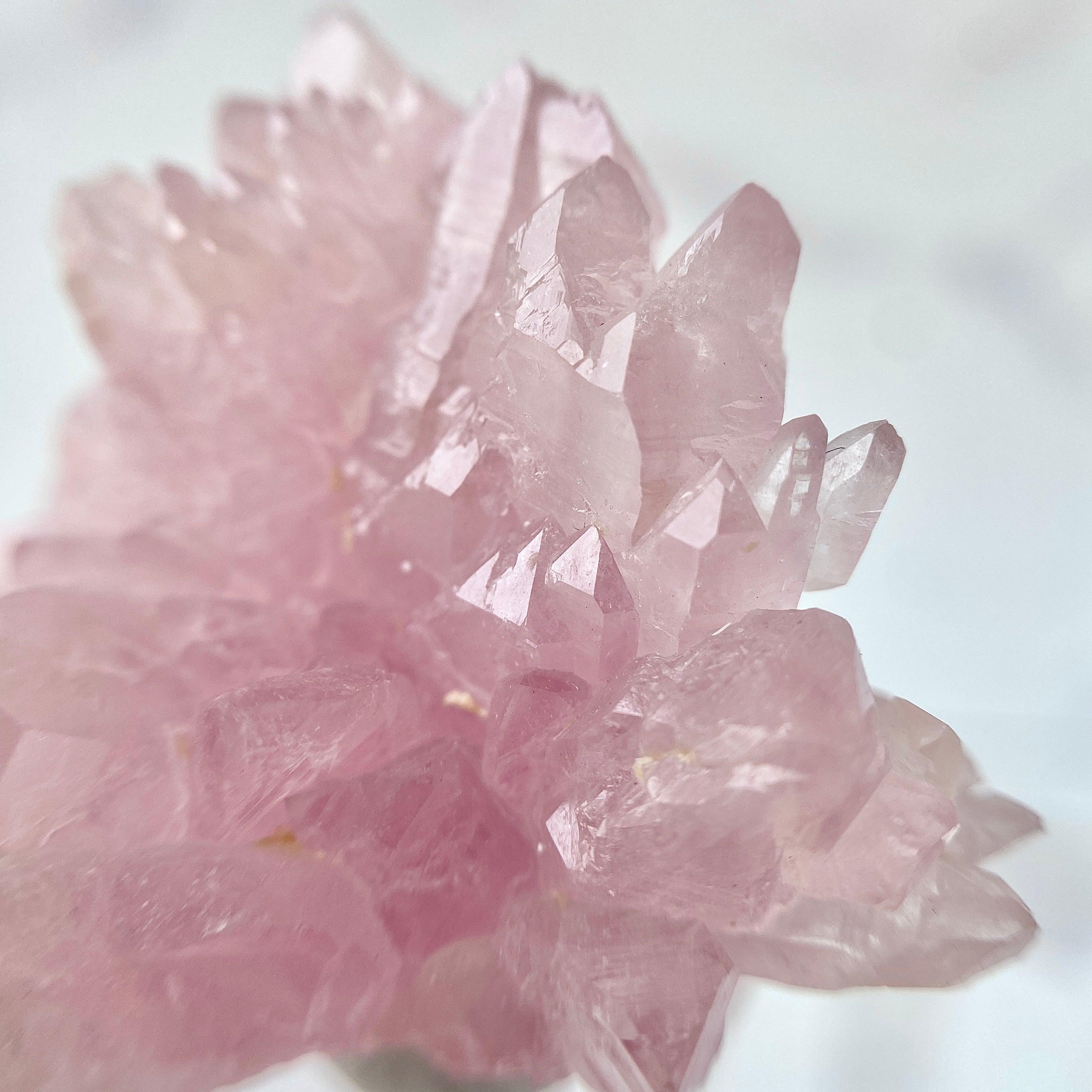 Canga Rosa (Rosaquarz)
