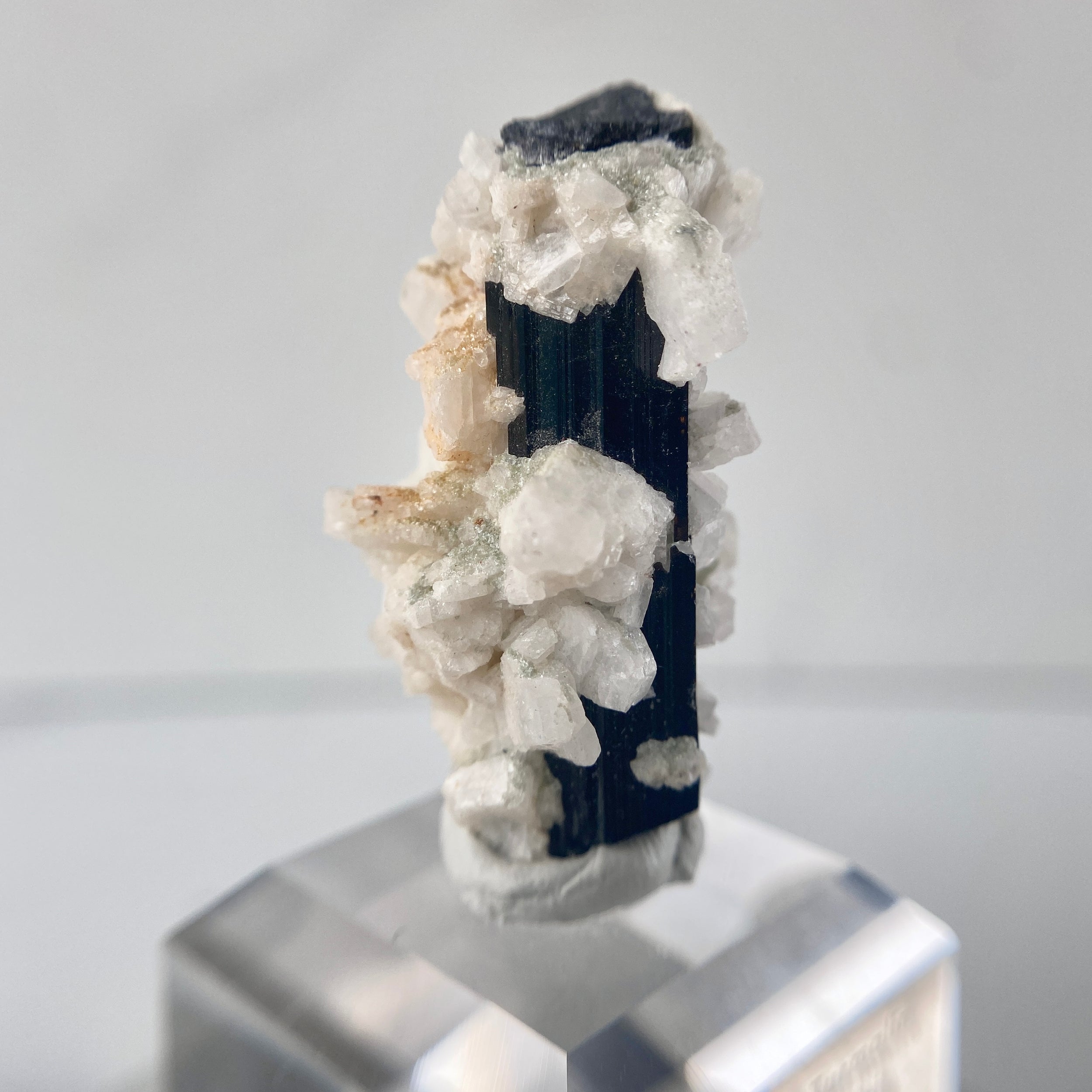 Schwarzer Turmalin (Schörl) mit Albit