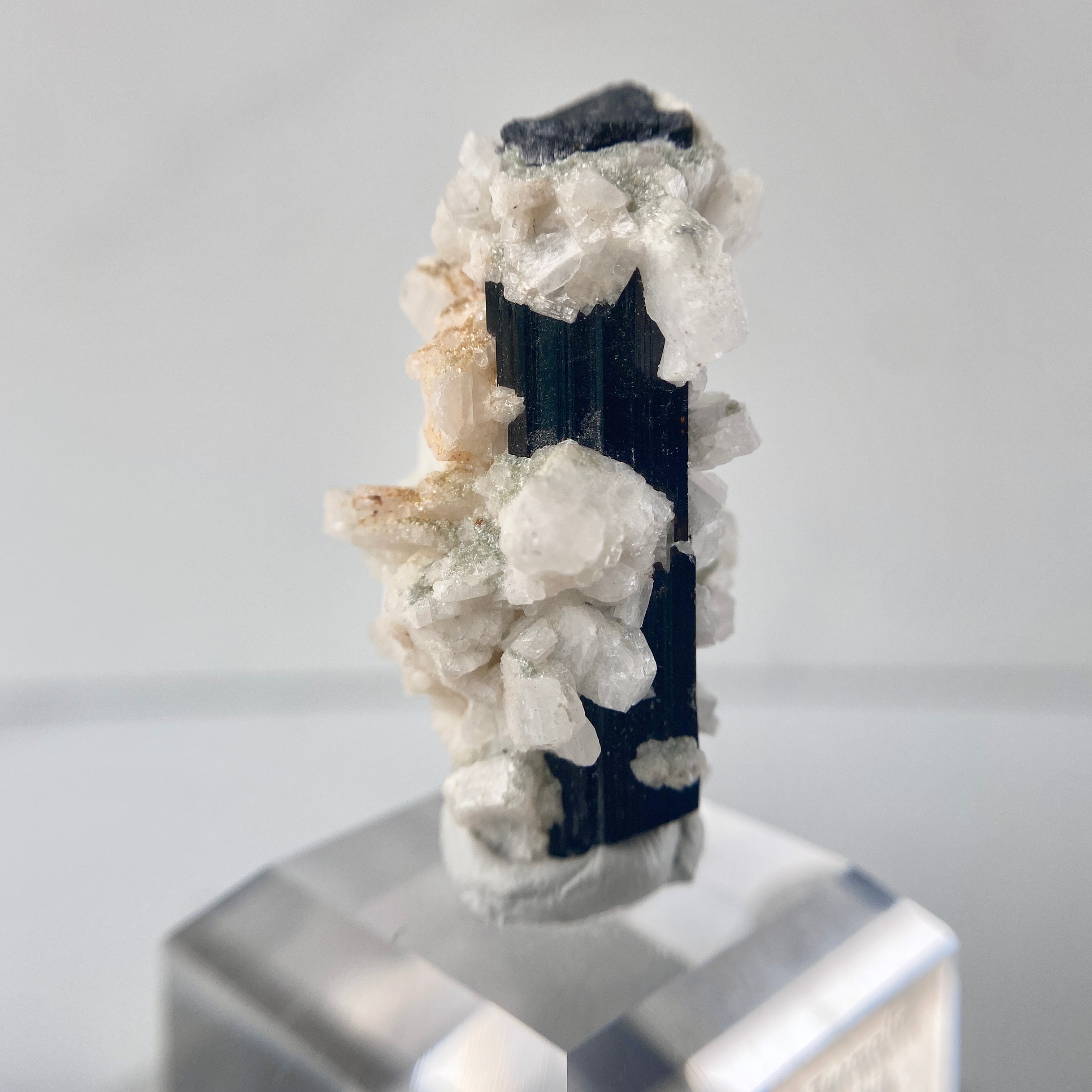 Schwarzer Turmalin (Schörl) mit Albit