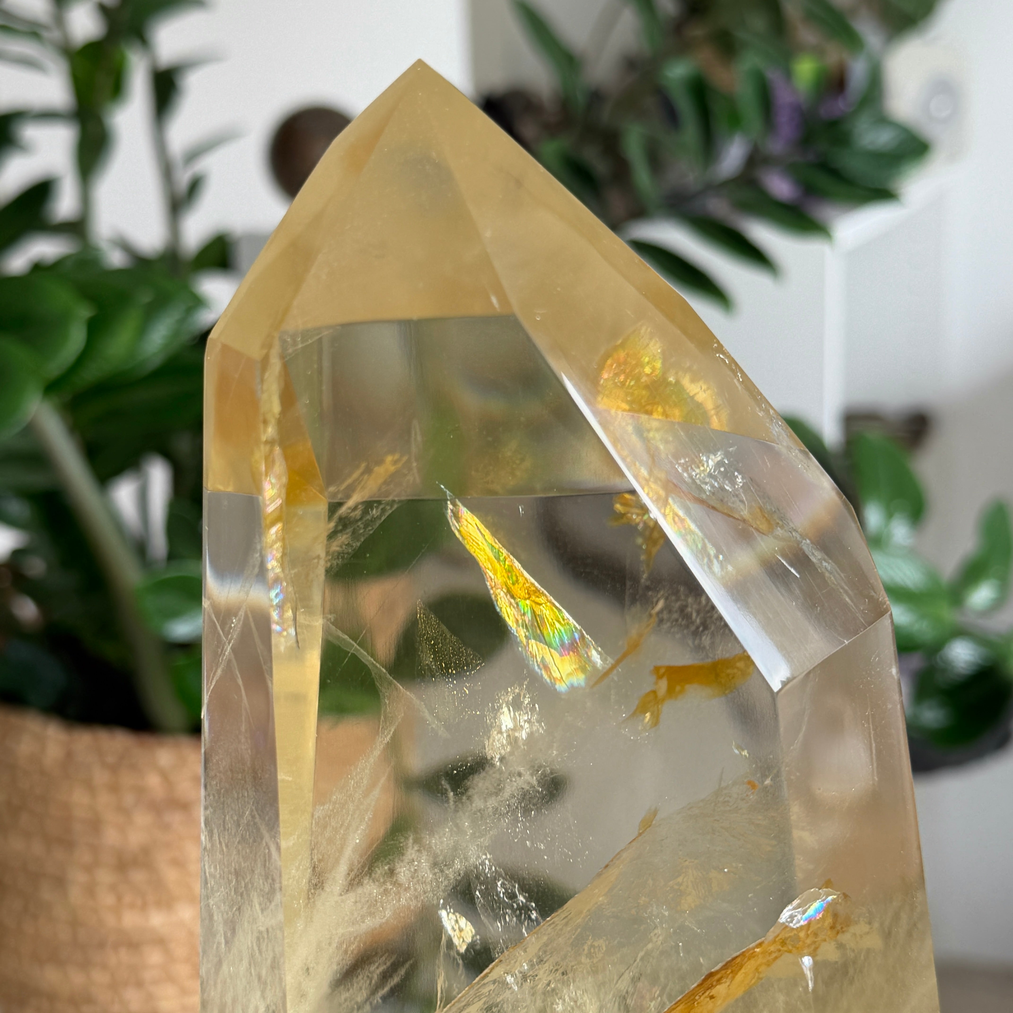 Großer Naturcitrin Obelisk mit Golden Healer aus Aracuai, Einzelstück, Wohnraumdekoration, Statement-Piece