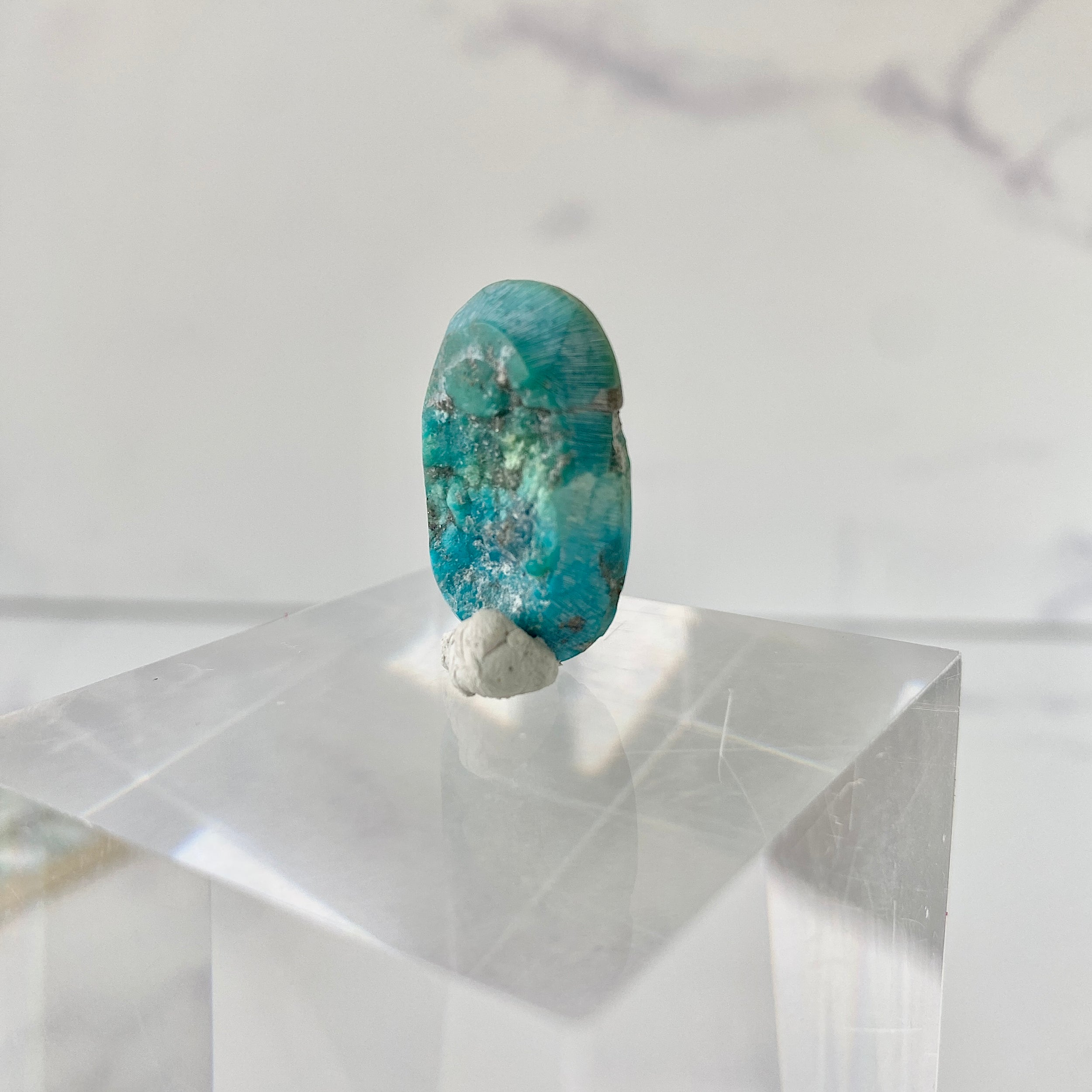 Türkis Cabochon