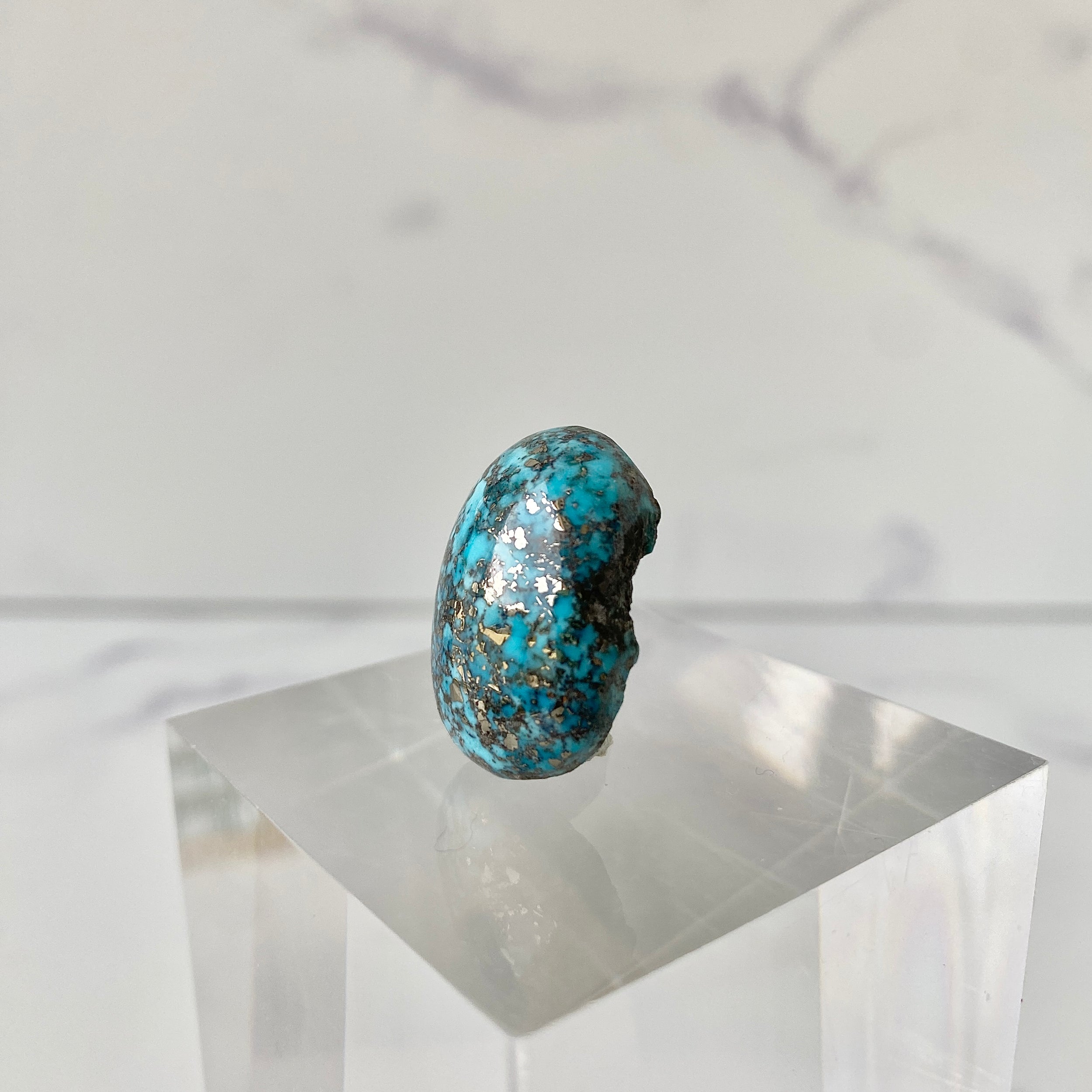 Türkis Cabochon