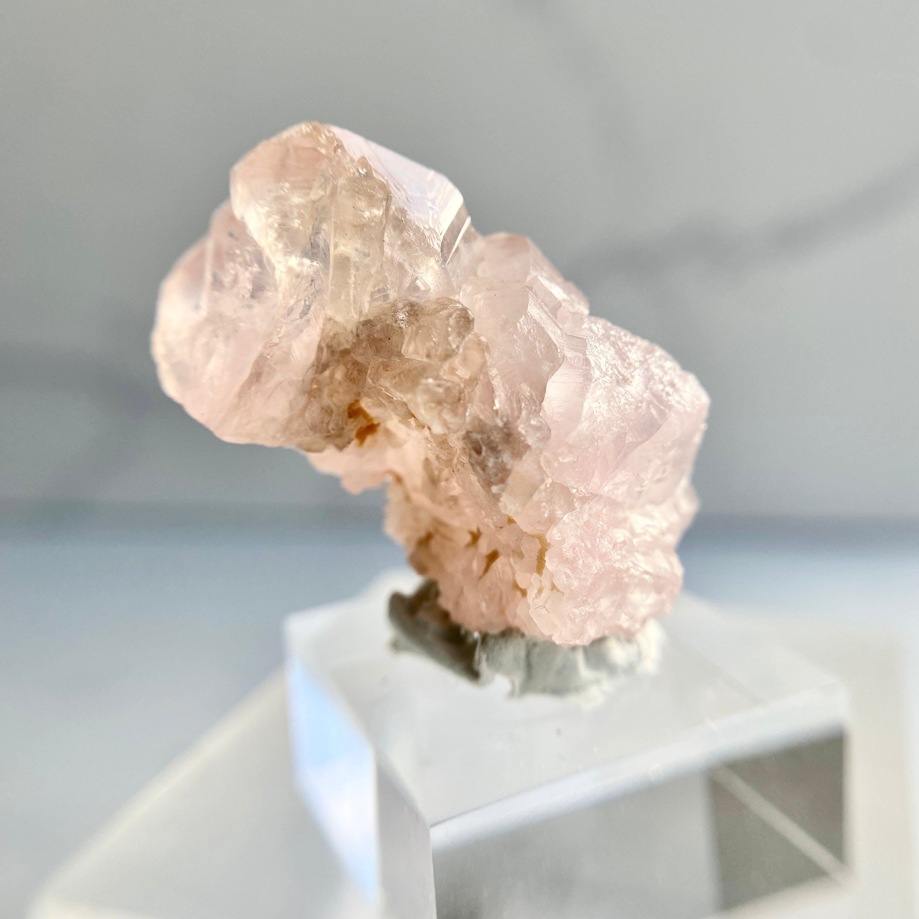 Canga Rosa mit Sockel