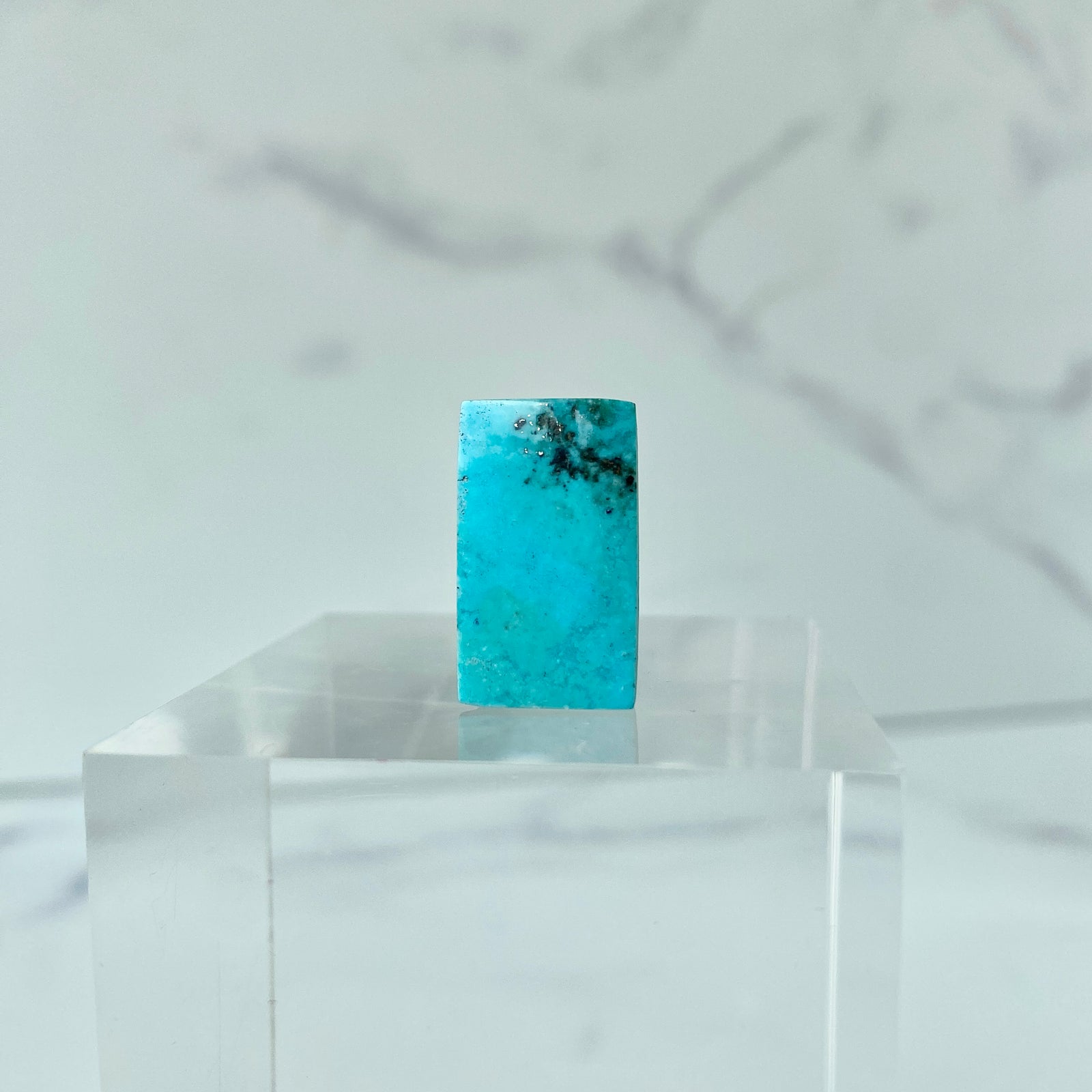 Türkis Cabochon - Studioaufnahme
