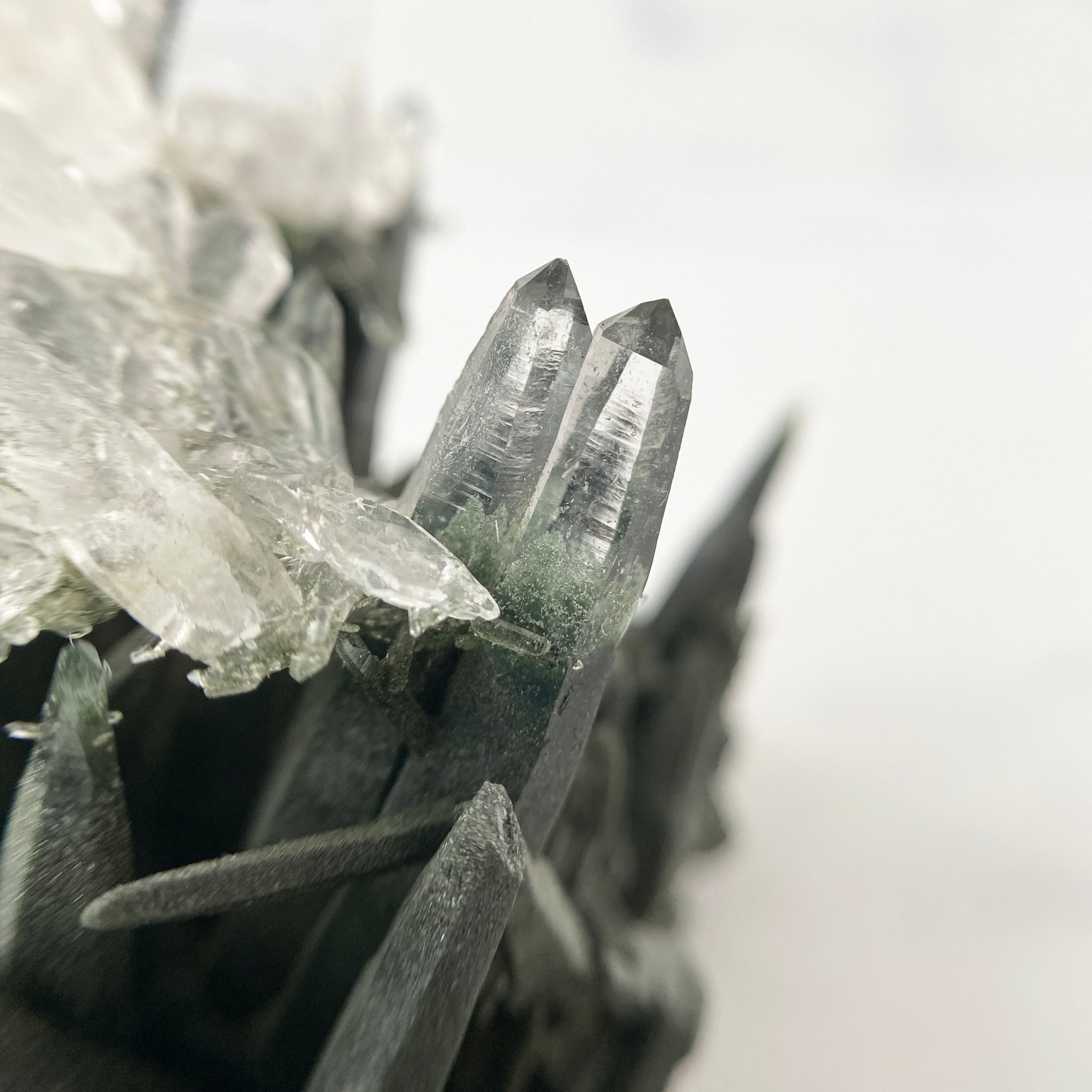 Selten - Himalaya (Nepal) Bergkristall Stufe mit Chlorit