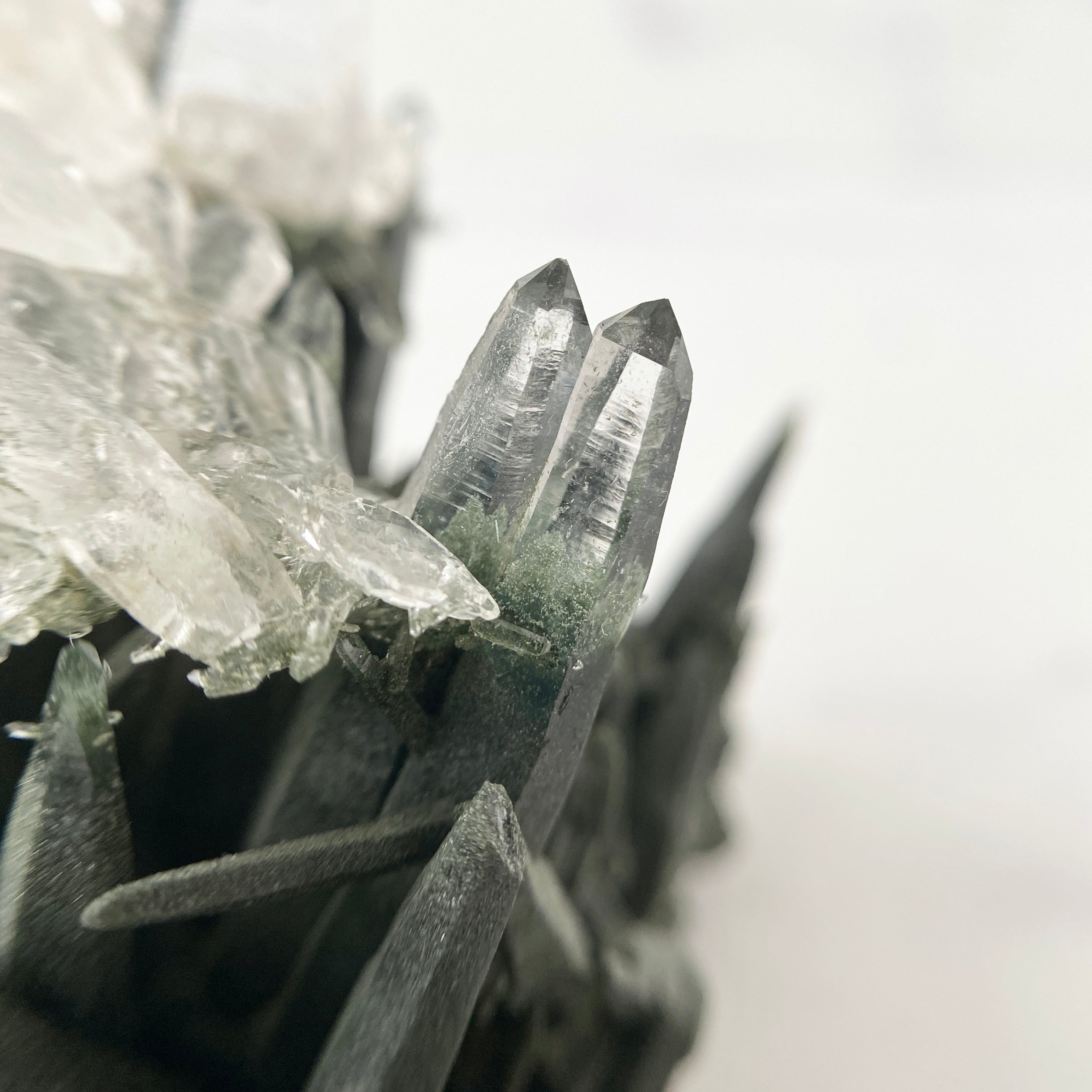 Selten - Himalaya (Nepal) Bergkristall Stufe mit Chlorit