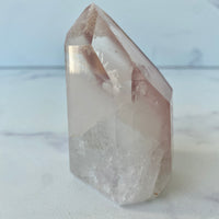 Pink Lithium Turm rich blossom