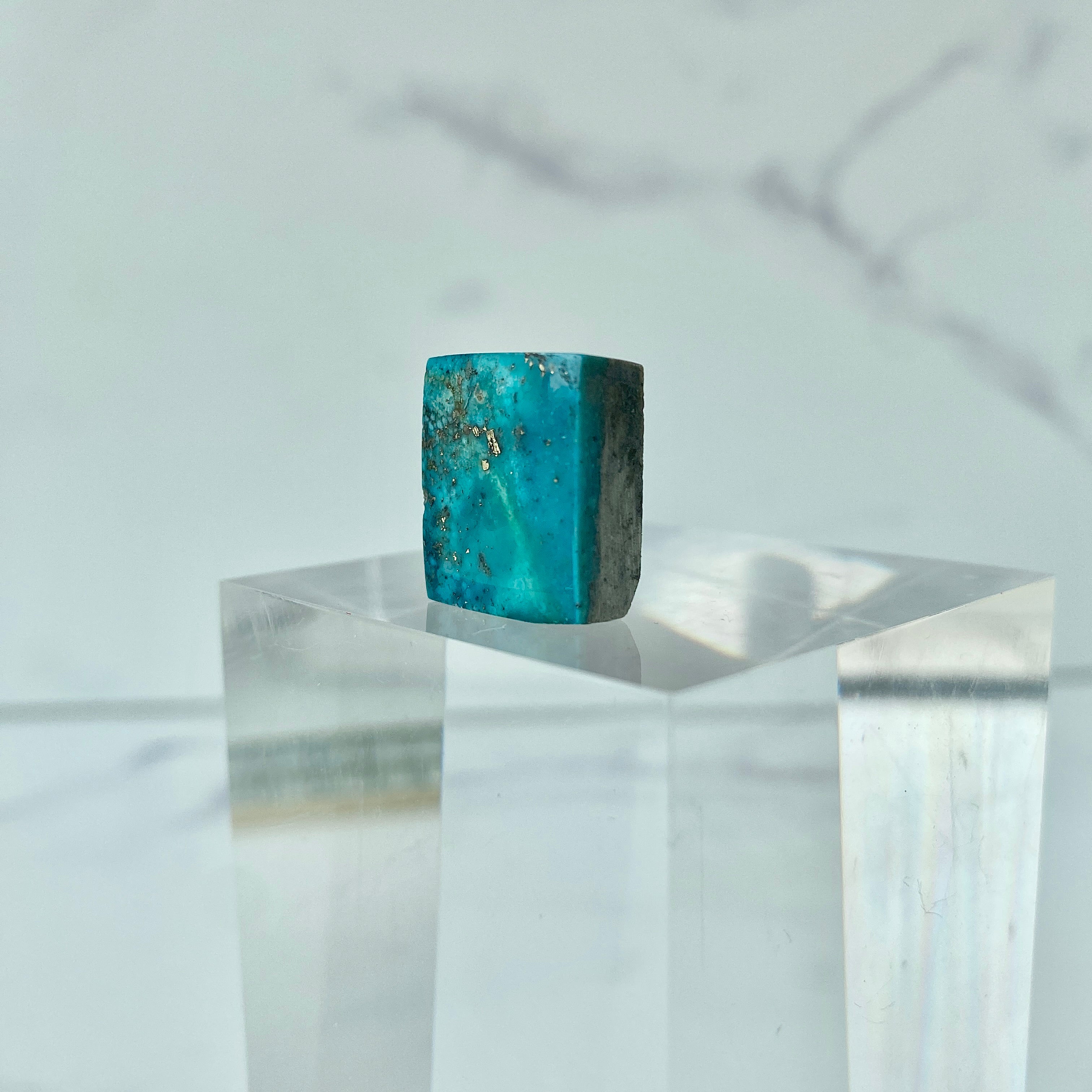 Türkis Cabochon - Studiofoto