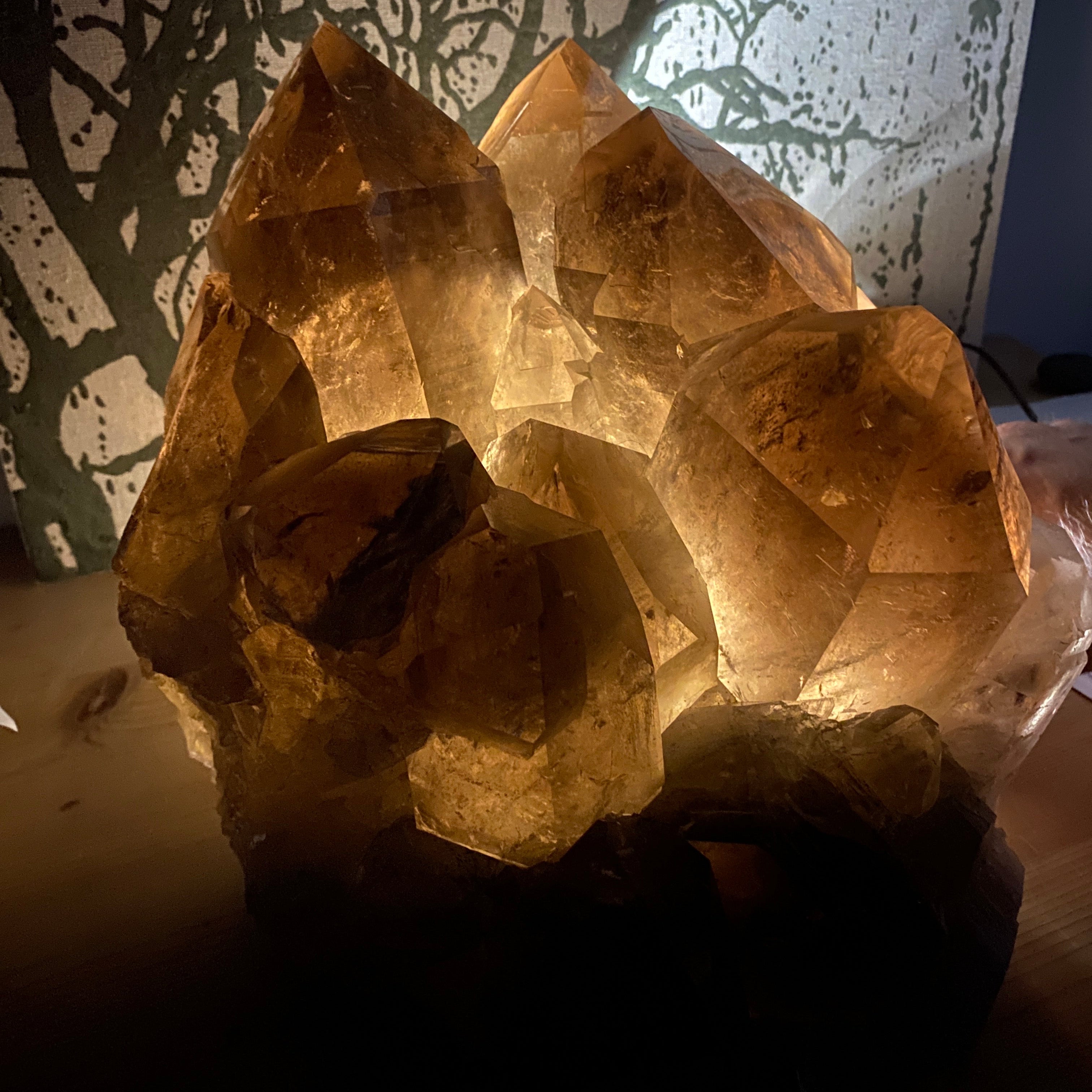 Rauchquarz Cluster beleuchtet