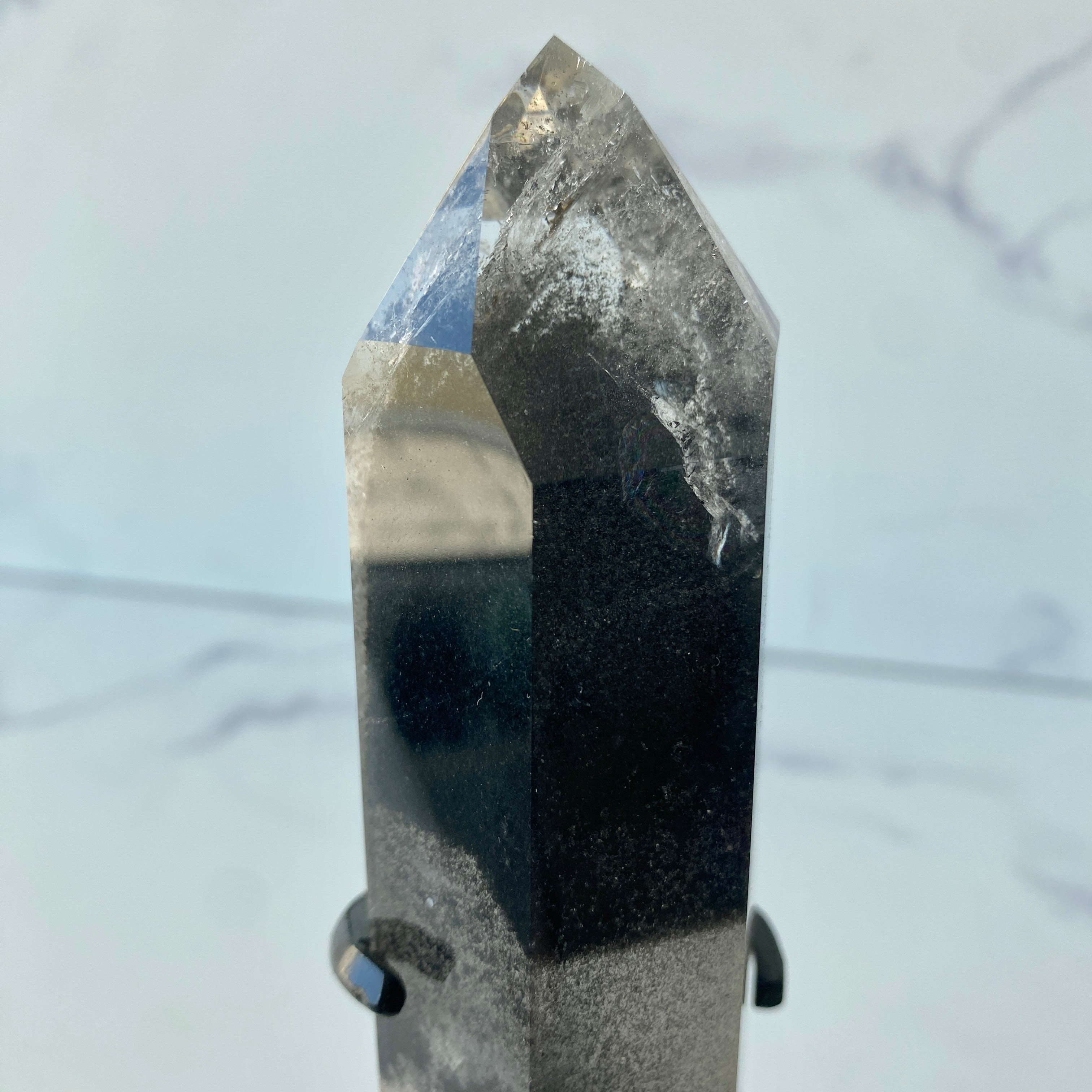 Black Phantom auf Ständer