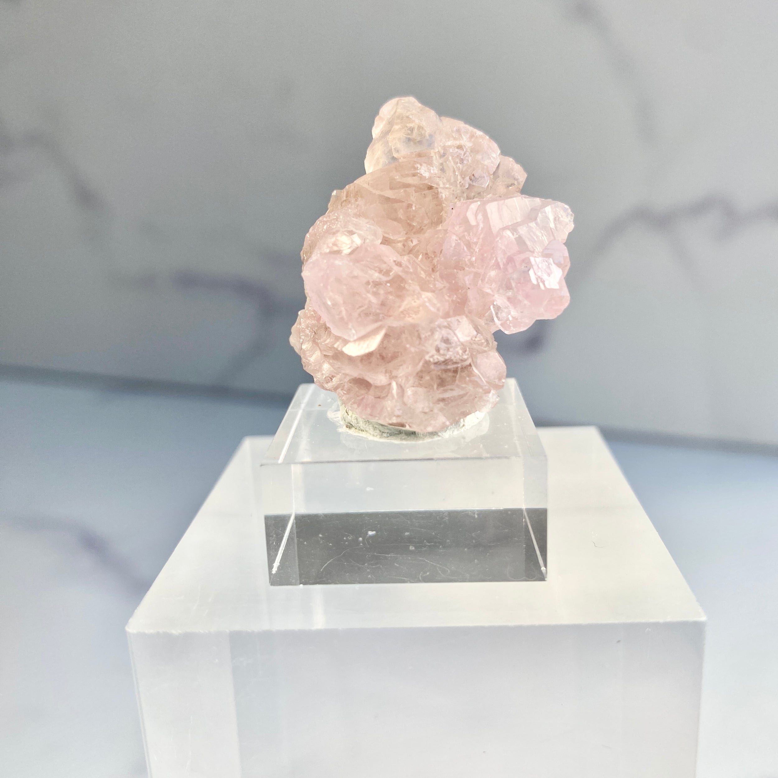 Canga Rosa mit Sockel