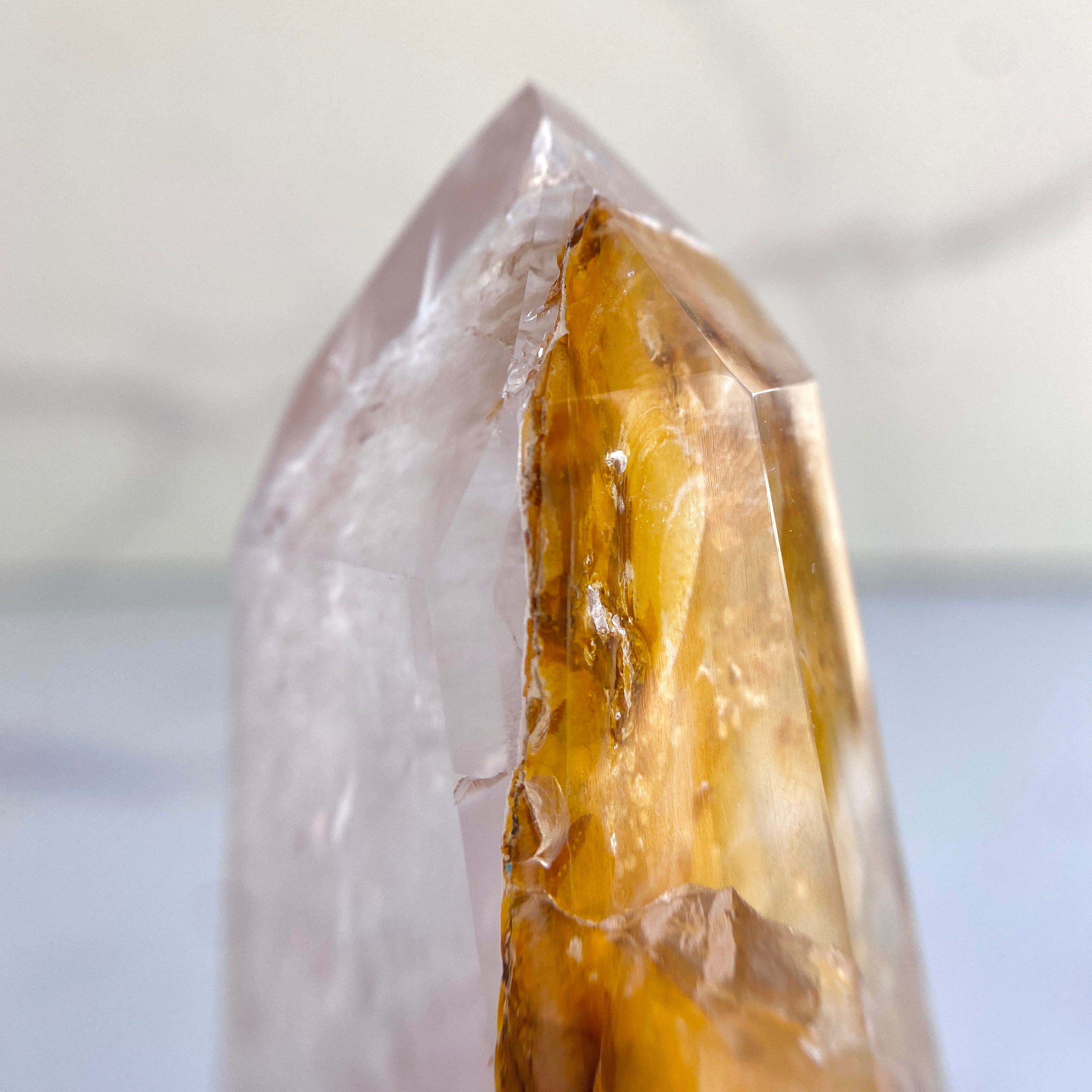 Golden Healer Spitze