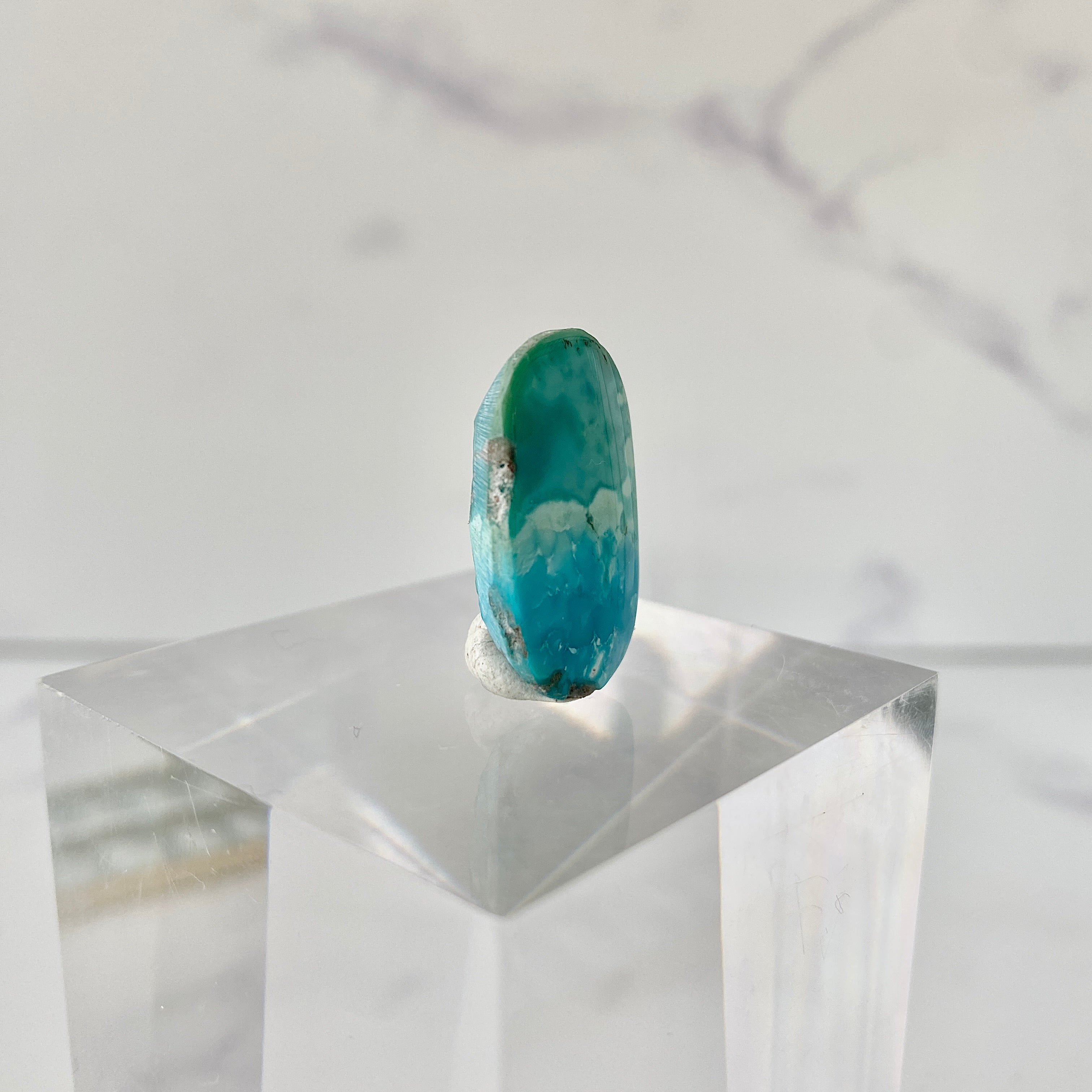 Türkis Cabochon