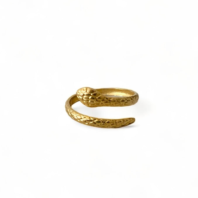 Schlangenring Gold