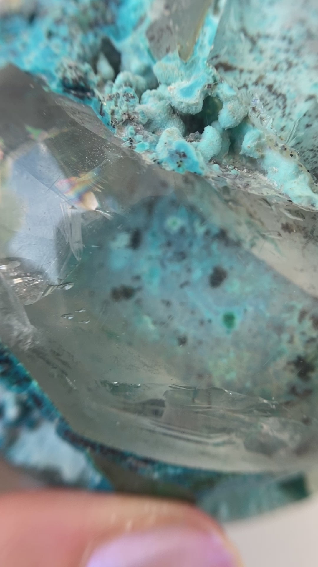XL Chrysocoll in Quarz Sphere