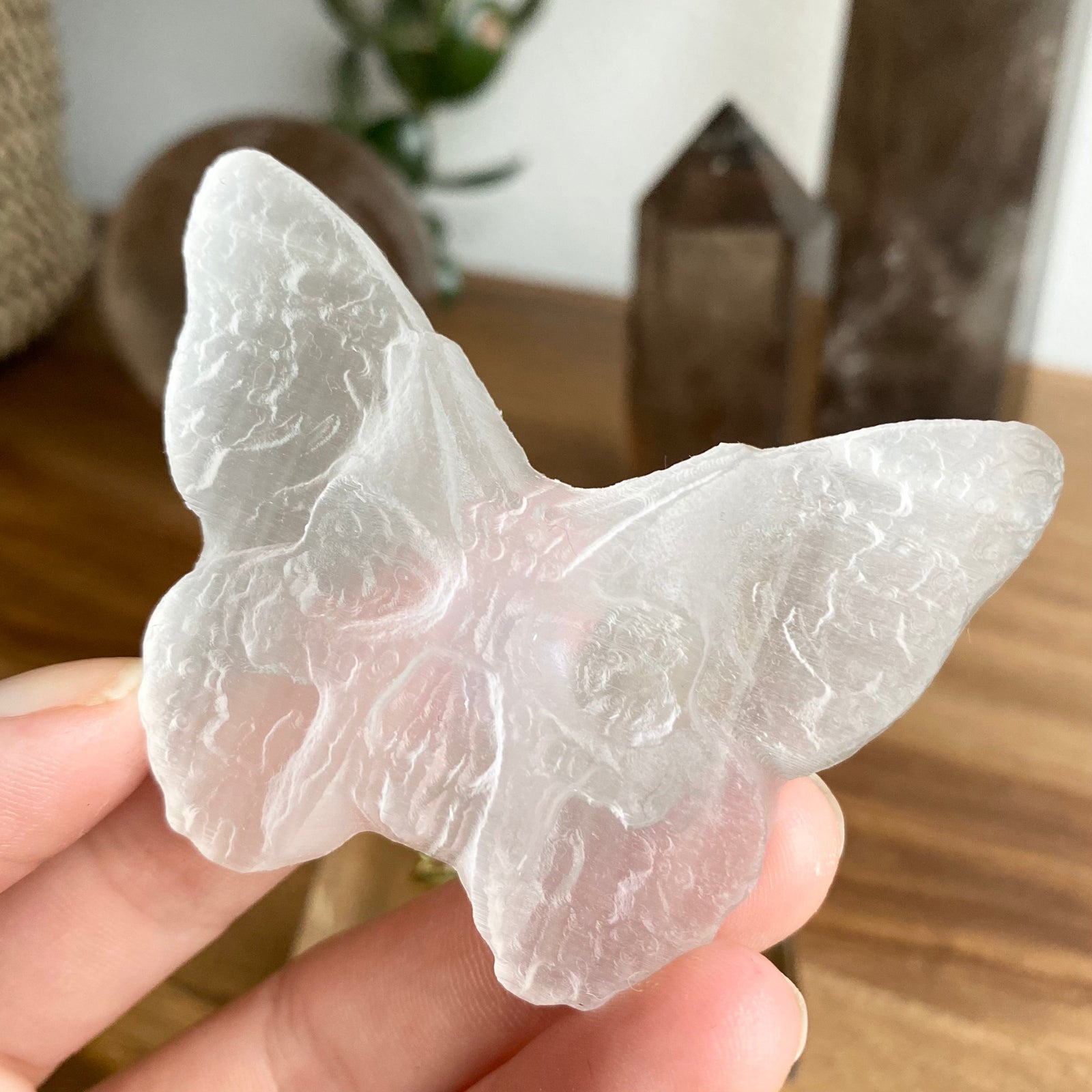 Selenit Skull-Schmetterling