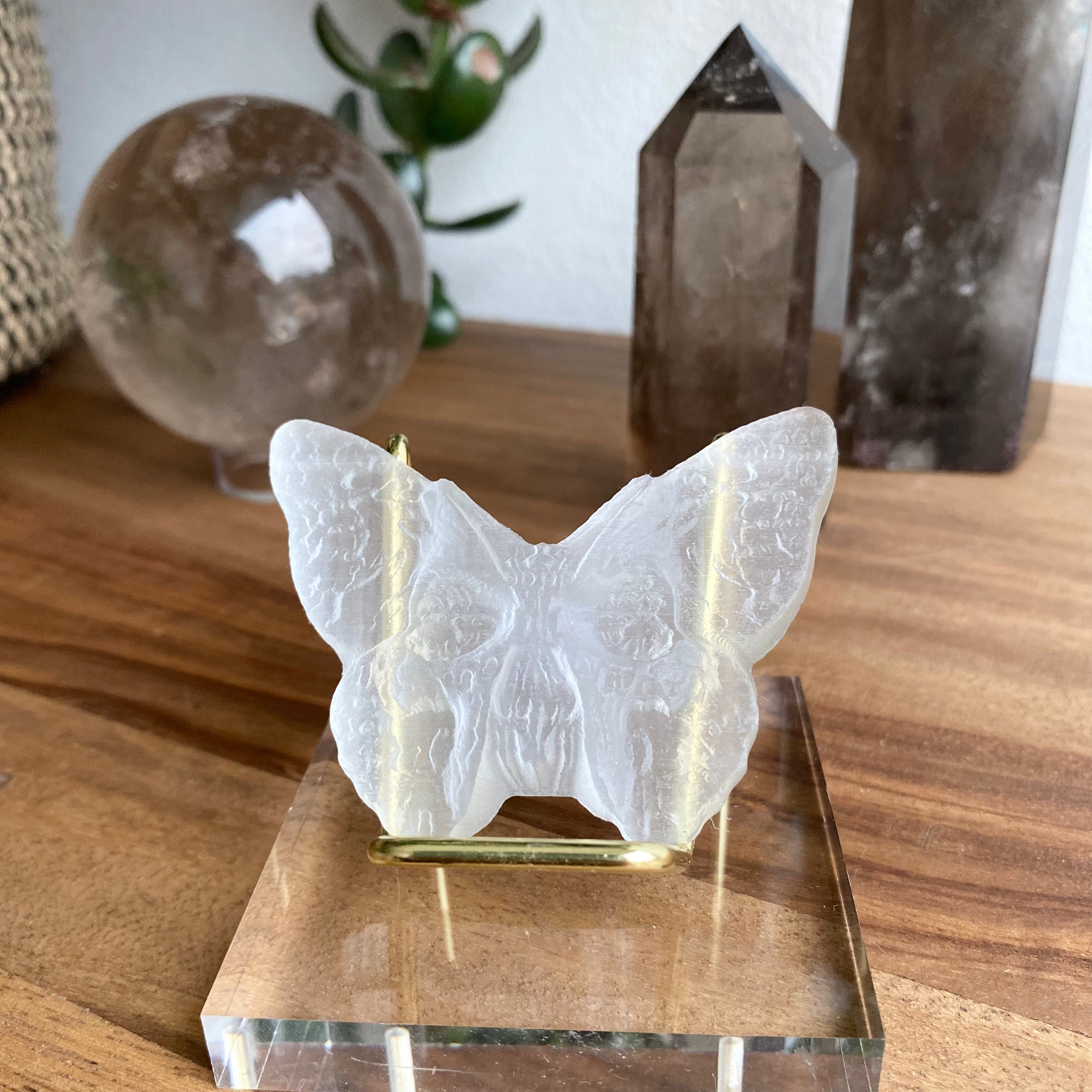 Selenit Skull-Schmetterling