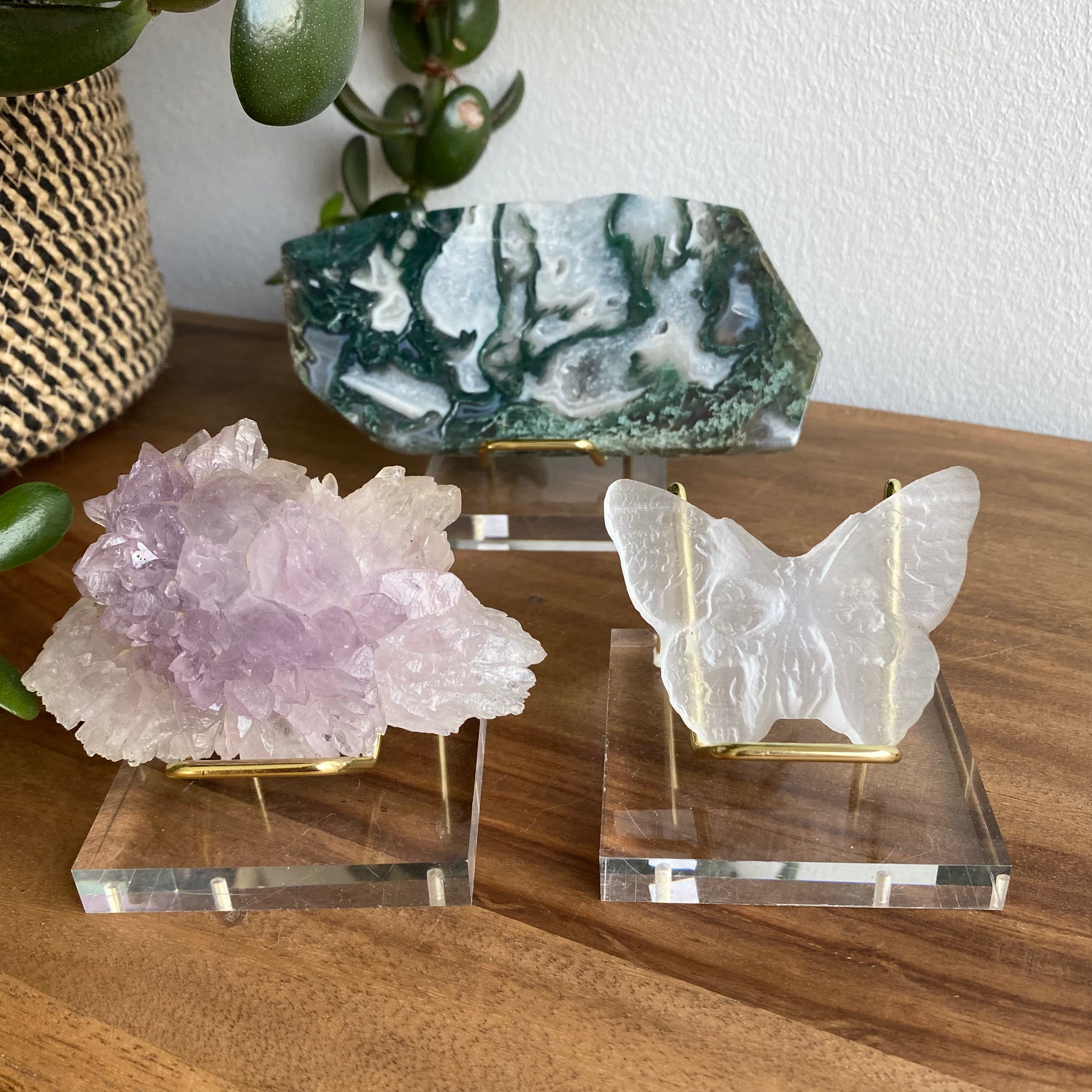 Slab Specimen Stand Acryl - Produktbild