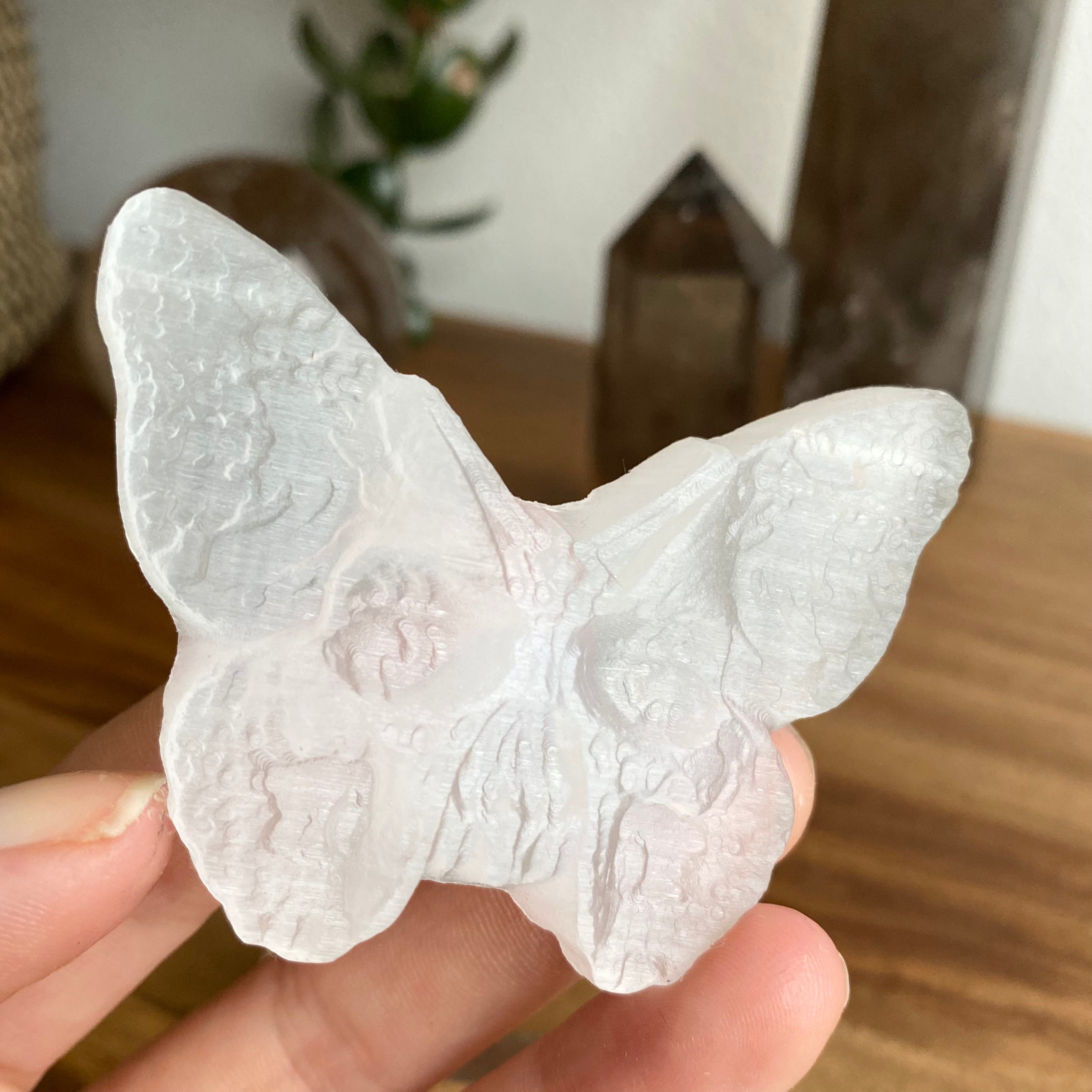 Selenit Skull-Schmetterling