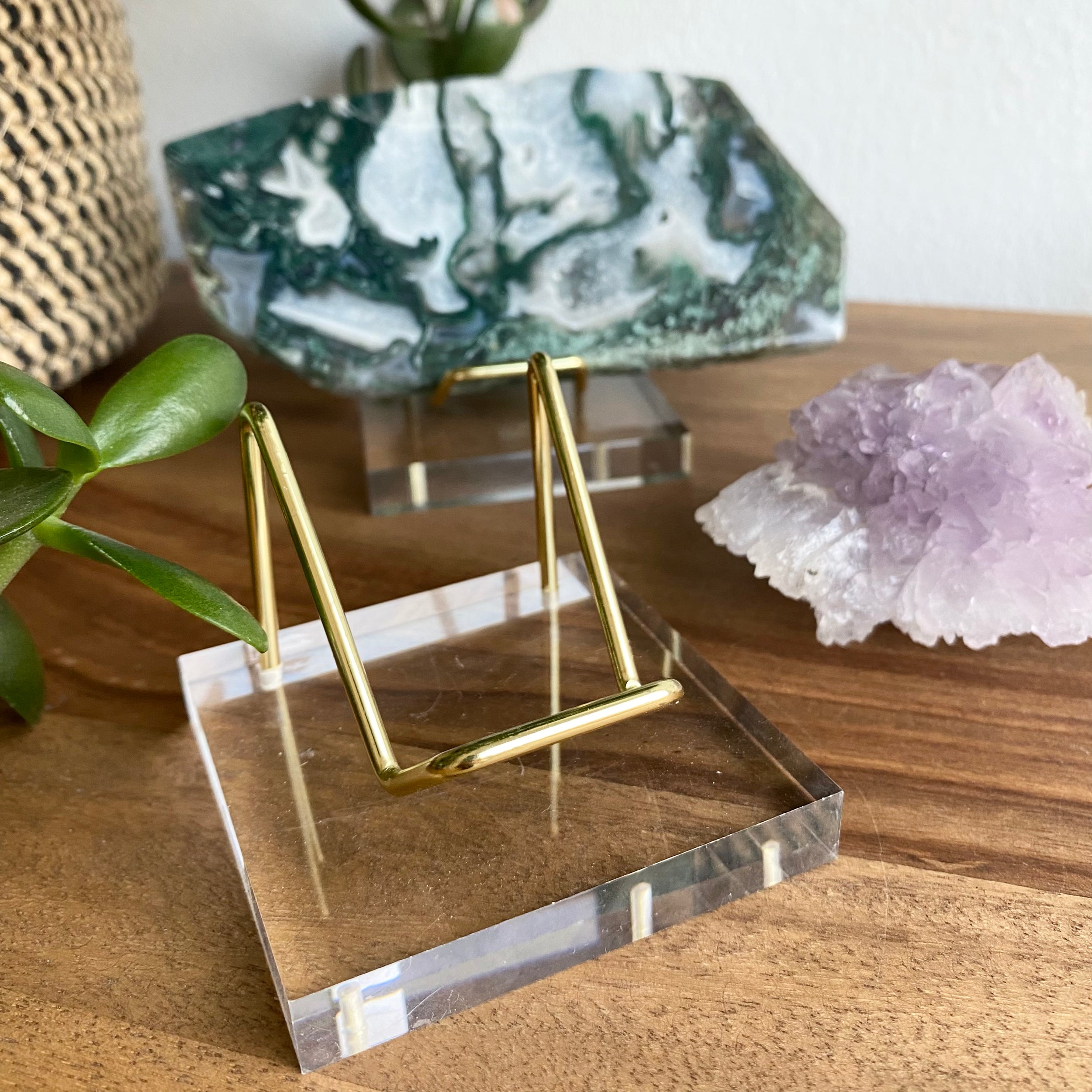 Slab Specimen Stand Acryl - Abbildung